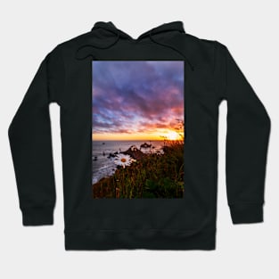 Daisies Tracking the Sun Hoodie